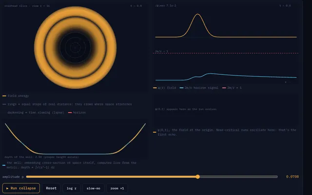 Critical Collapse: an amber ring of field energy seen from above, beside plots of the field and the horizon signal over radius, with the amplitude slider below